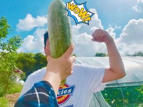 每天更新 带你吃瓜,带你领略娱乐圈风云变幻！”