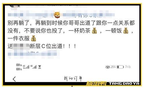 社会热点素材2025 体育圈饭圈,粉丝力量与偶像效应的交织